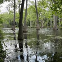 Leflore County 306 Scheppe Place