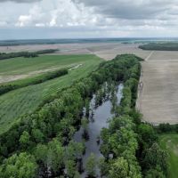 Leflore County 306 Scheppe Place images 4