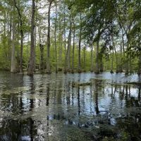 Leflore County 306 Scheppe Place images 5