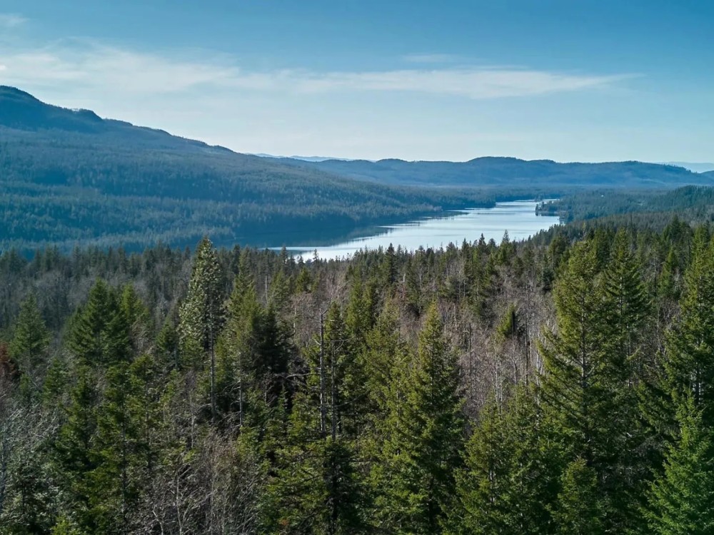 Swan Lake Overlook featured image