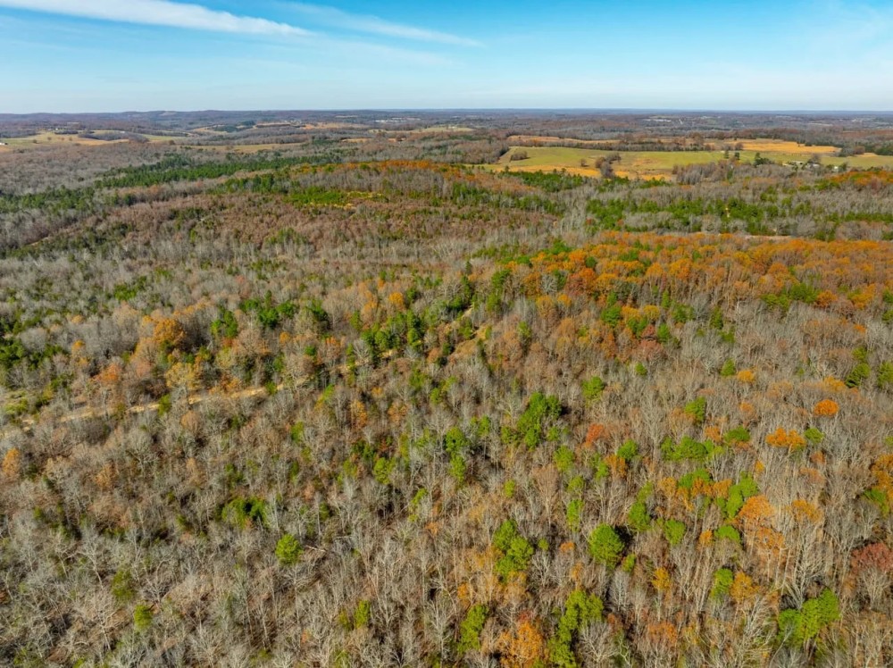 40 - Acres Hunters Paradise Mature Timber Cave City Arkansas featured image
