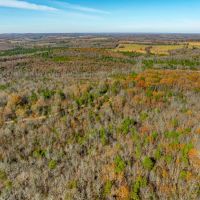 40 - Acres Hunters Paradise Mature Timber Cave City Arkansas