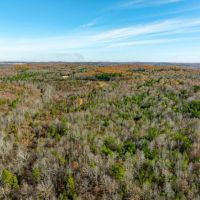 40 - Acres Hunters Paradise Mature Timber Cave City Arkansas images 2