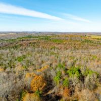 40 - Acres Hunters Paradise Mature Timber Cave City Arkansas images 3