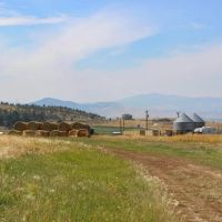 Helena Valley Hay Farm images 3