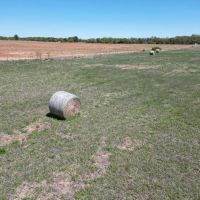 New Listing 76 - Acres Eastland County images 4