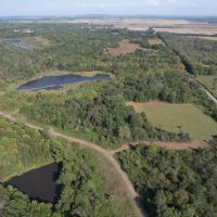 Trophy Deer Hunting Property in Gallatin County IL
