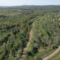 Trophy Deer Hunting Property in Gallatin County IL images 3