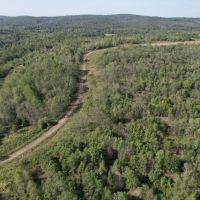 Trophy Deer Hunting Property in Gallatin County IL images 4