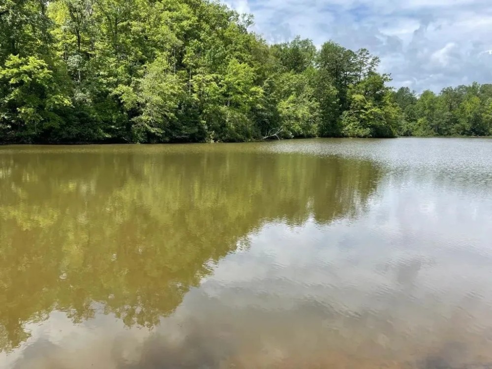 - 31.25 Acres Tract 3 on Easy Street in Salem SC featured image