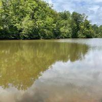 - 31.25 Acres Tract 3 on Easy Street in Salem SC