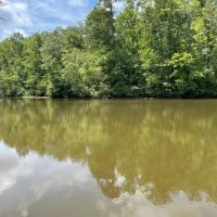 - 31.25 Acres Tract 3 on Easy Street in Salem SC images 2