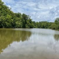 - 31.25 Acres Tract 3 on Easy Street in Salem SC images 3