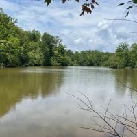 - 31.25 Acres Tract 3 on Easy Street in Salem SC images 4