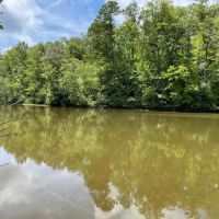 - 31.25 Acres Tract 3 on Easy Street in Salem SC images 5