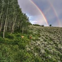 Endless Creeks Ranch images 3