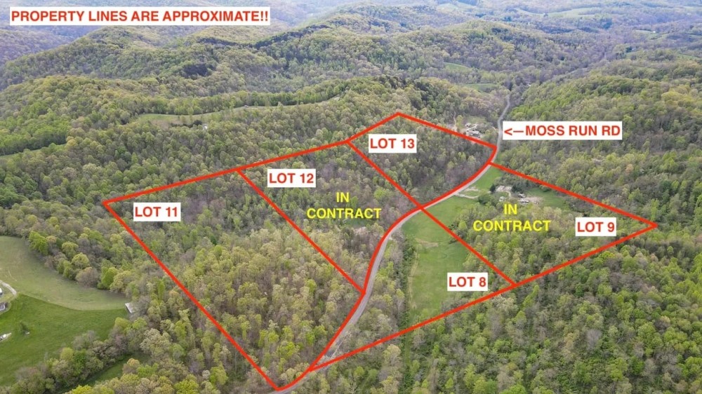Moss Run Rd Lot 11 - 17 acres - Washington County featured image