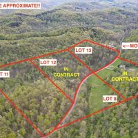 Moss Run Rd Lot 11 - 17 acres - Washington County