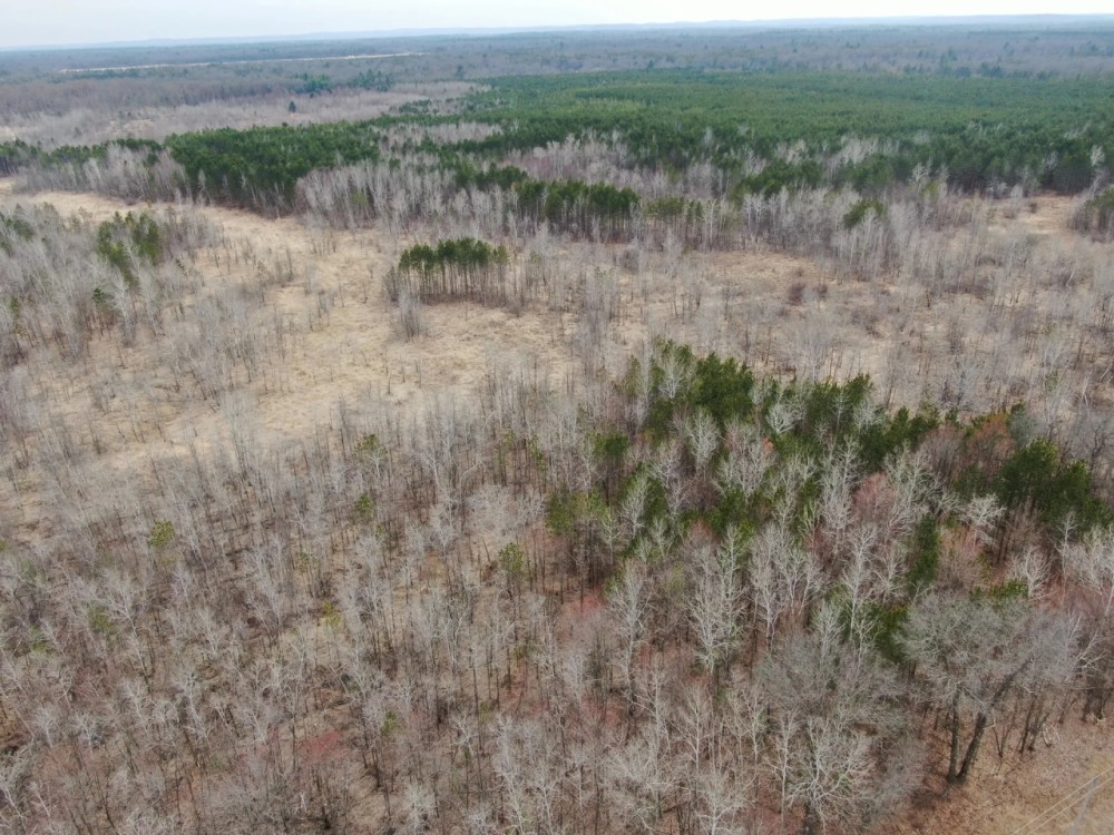 Juneau County WI 360 Acre Outdoor Paradise featured image