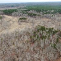 Juneau County WI 360 Acre Outdoor Paradise