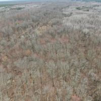 Juneau County WI 360 Acre Outdoor Paradise images 4