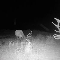 Elk Crossing Ranch images 3