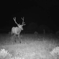 Elk Crossing Ranch images 4