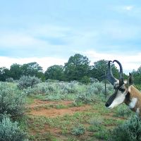 Elk Crossing Ranch images 5