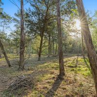 4759 Hwy 159 Fayetteville Texas 78940 images 5