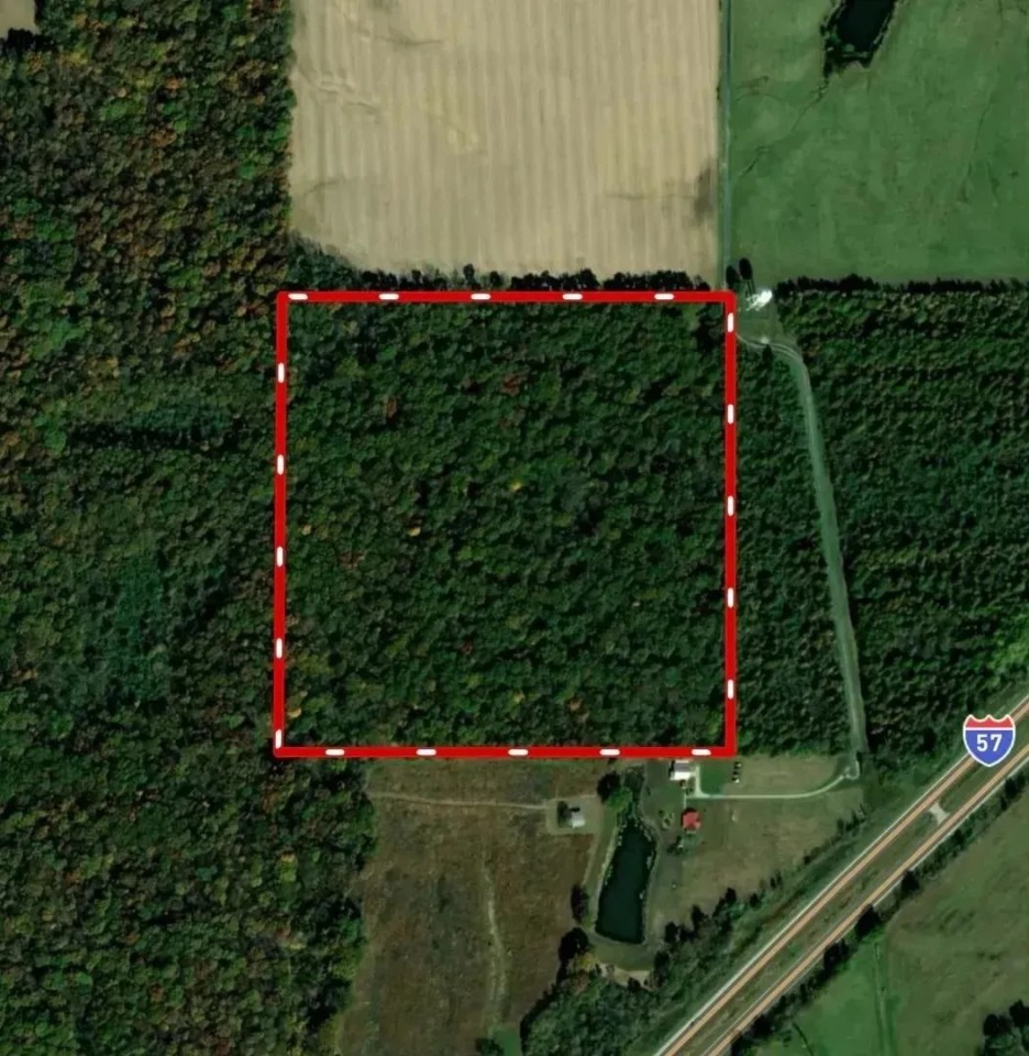 Marion Co 40 acres - featured image
