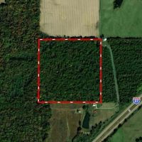 Marion Co 40 acres -