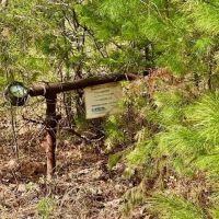 98-Acres of Recreational Hunting Land for Sale in Sunbright TN images 3