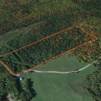 20 acres Adirondack Hunting Land Waverly NY images 4
