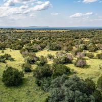 South Arrow Ranch 428