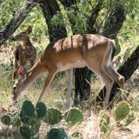South Arrow Ranch 428 images 4