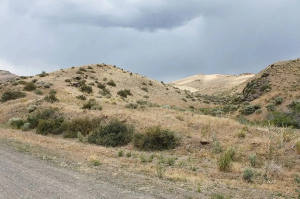 12.8 acres with Natural Spring Views Owner Financing featured image