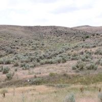 12.8 acres with Natural Spring Views Owner Financing images 3