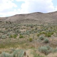 12.8 acres with Natural Spring Views Owner Financing images 4