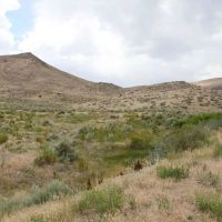12.8 acres with Natural Spring Views Owner Financing images 5