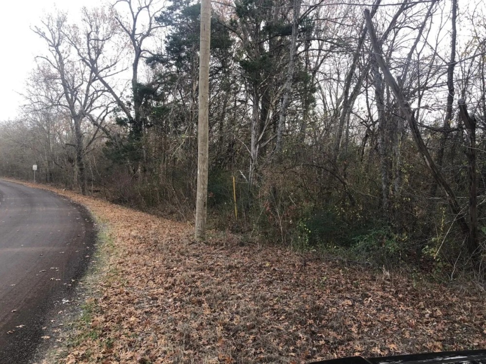 Heavily Wooded Acreage For Sale in Roxton TX featured image