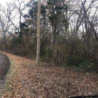 Heavily Wooded Acreage For Sale in Roxton TX