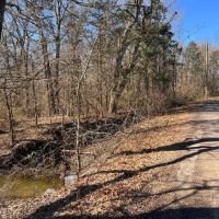 Heavily Wooded Acreage For Sale in Roxton TX images 2