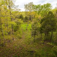 40 Acre Hideaway images 3