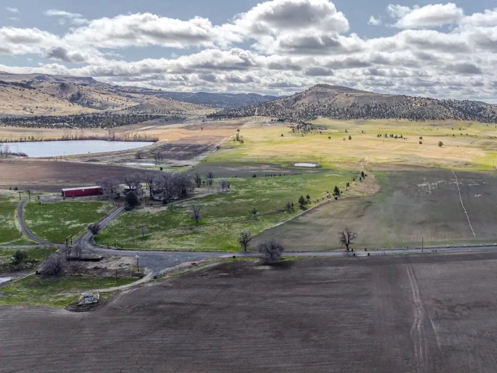 Willowdale Ranch featured image