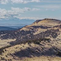 Willowdale Ranch images 2