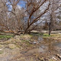 Willowdale Ranch images 3
