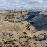 Willowdale Ranch images 4