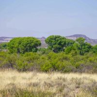 Cripple Mill Ranch images 4