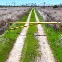 461 acre Bridgehouse Duck Hunting Lodge and Impoundment for Sale In Pamlico County NC images 2