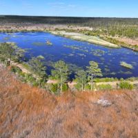 461 acre Bridgehouse Duck Hunting Lodge and Impoundment for Sale In Pamlico County NC images 4